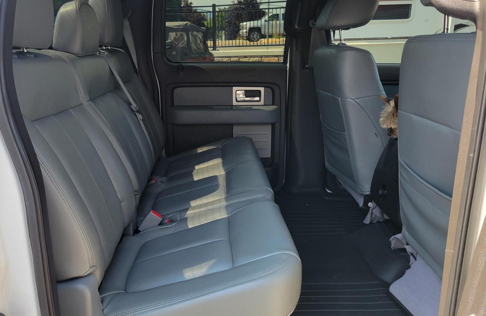 2011 White /Black Ford F-150 XLT (1FTFW1EF0BK) with an 5.0L V8 engine, 4-Speed Automatic transmission, located at 450 N Russell, Missoula, MT, 59801, (406) 543-6600, 46.874496, -114.017433 - Clean 4WD Truck. 5.0L V8 engine. 4 Speed Automatic Transmission. Air. Cruise. Tilt. Power Windows and Locks. Backup Camera. Running Boards. Towing. Tonneau Cover. Nice Highway Tires. Remote Start. - Photo#7