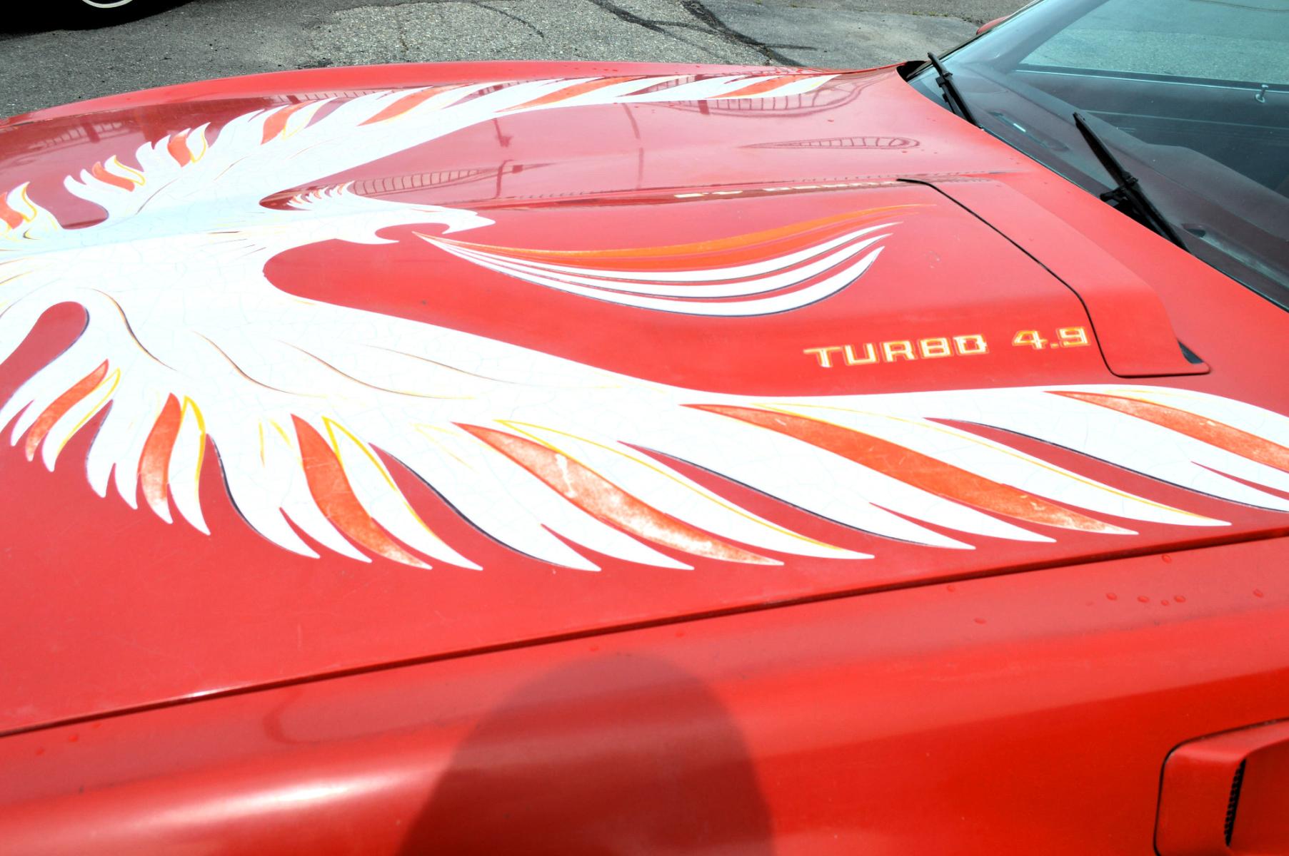 1980 Red Pontiac Trans Am (2W87TAL1477) with an 4.9 Liter Turbo V8 engine, Automatic transmission, located at 450 N Russell, Missoula, MT, 59801, (406) 543-6600, 46.874496, -114.017433 - Classic Trans Am with the Original 4.9L Turbo Engine. Interior Looks Great. Runs Amazing. This vehicle is more then 20 years old and is not eligible for lending through our finance companies. - Photo #6