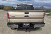 2011 Gold /Tan Ford F-150 FX4 SuperCrew 5.5-ft. Bed 4WD (1FTFW1EF6BK) with an 5.0L V8 engine, 4-Speed Automatic transmission, located at 450 N Russell, Missoula, MT, 59801, (406) 543-6600, 46.874496, -114.017433 - Mechanic's Special. Very Good physical condition. Runs pretty well but does have a miss. Mechanic says it has a bad valve which means pulling the head. I don't want to spend the money so you have a chance to own a really nice truck for less. 4WD works great. Air Blows Cold. Power Windows and locks. - Photo#6