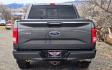2016 Grey /Black Ford F-150 XLT SuperCrew 4WD (1FTEW1EPXGK) with an 2.7L V6 DOHC 24V engine, 6A transmission, located at 450 N Russell, Missoula, MT, 59801, (406) 543-6600, 46.874496, -114.017433 - Such a Nice 4WD Truck that runs amazing. Economical 2.7L V6 EcoBoost Engine. 6 Speed Automatic Transmission. Interior has tons of room. Power Front Seats. Power Sliding Rear Window. Power Windows and Locks. Remote Start. Air. Cruise. Tilt. AM FM SAT Stereo. Bluetooth Auto and Phone. Steering Wheel M - Photo#5