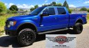 2014 Blue /Gray Ford F-150 FX4 SuperCrew 5.5-ft. Bed 4WD (1FTFW1ETXEF) with an 3.5L V6 TURBO engine, 6A transmission, located at 450 N Russell, Missoula, MT, 59801, (406) 543-6600, 46.874496, -114.017433- Photo#6